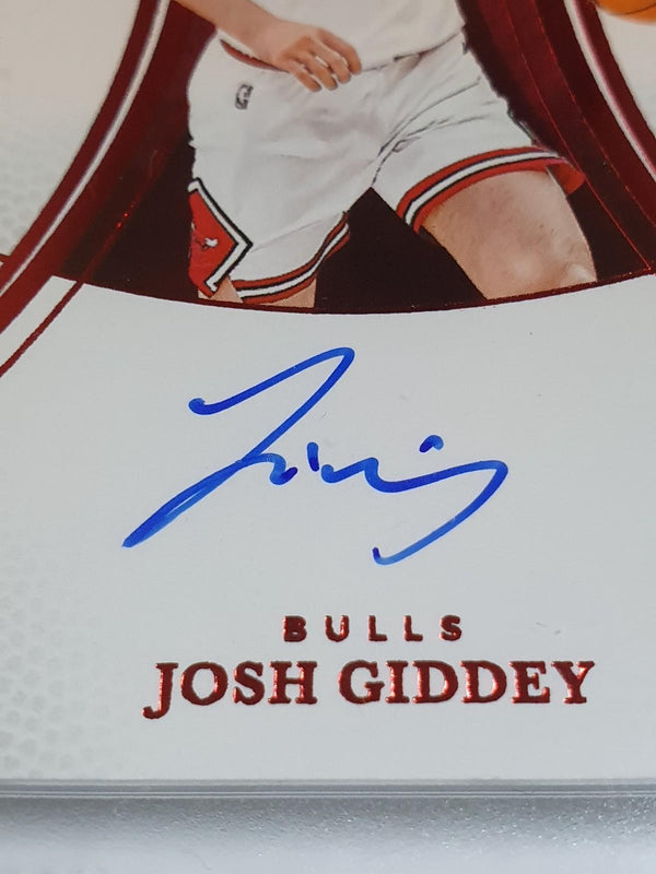 2024 Panini Immaculate Josh Giddey AUTO RED /25 - On Card Autograph (Bulls)