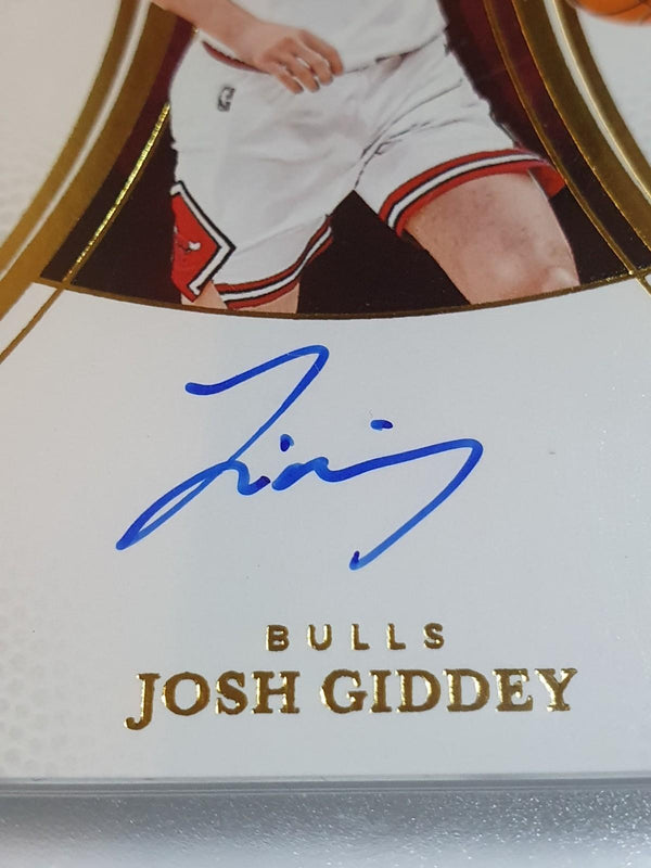 2024 Immaculate Collection Josh Giddey AUTO GOLD /49 - On Card Autograph (Bulls)