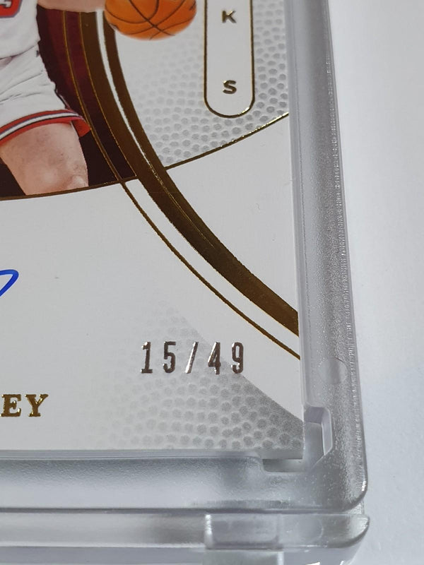 2024 Immaculate Collection Josh Giddey AUTO GOLD /49 - On Card Autograph (Bulls)