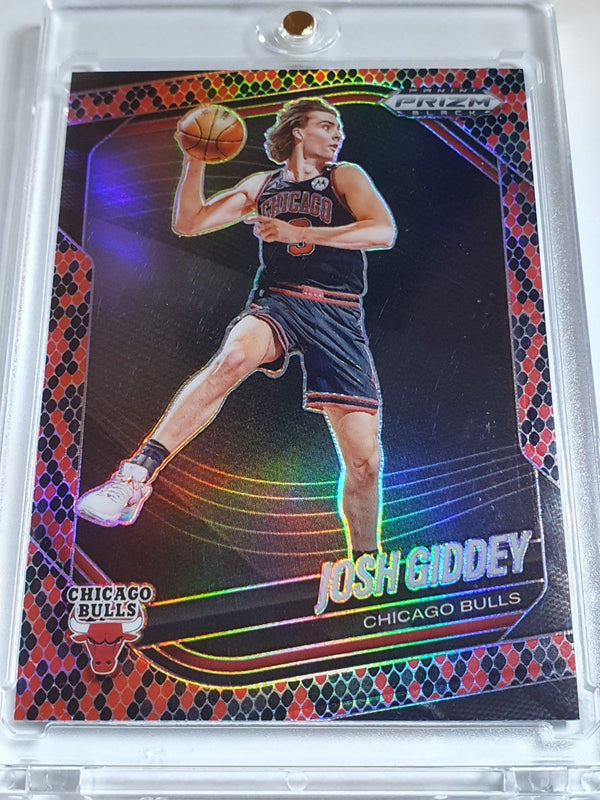 2024 Prizm Black Josh Giddey #126 RED SNAKESKIN Holo (Bulls) - Ready to Grade