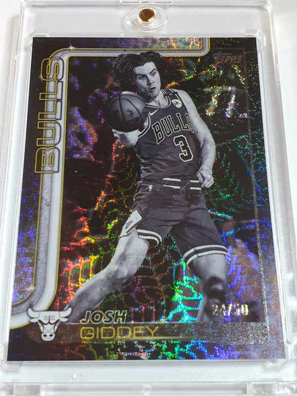 2025 Topps Flagship Josh Giddey #35 FLASH DROP /50 Holo (Bulls) - Ready to Grade