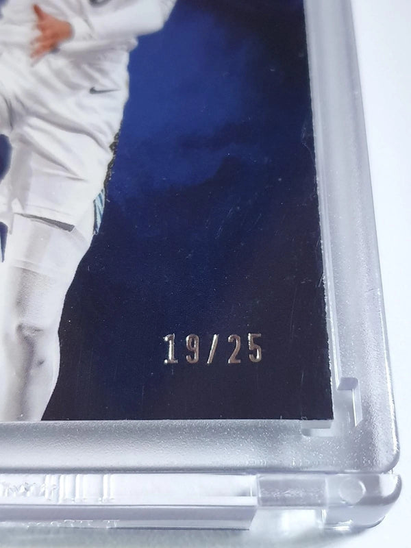 2024 Panini Immaculate Collection Tyrese Haliburton #29 BLUE /25 Foil - Rare