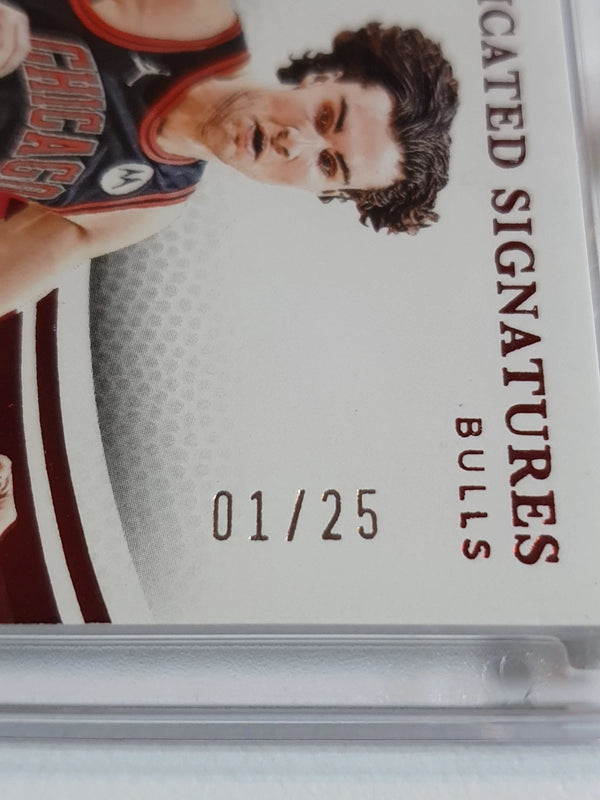 2024 Panini Immaculate Josh Giddey AUTO RED 01/25 - On Card Autograph (Bulls)